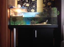 Akvaterárium s příslušenstvím